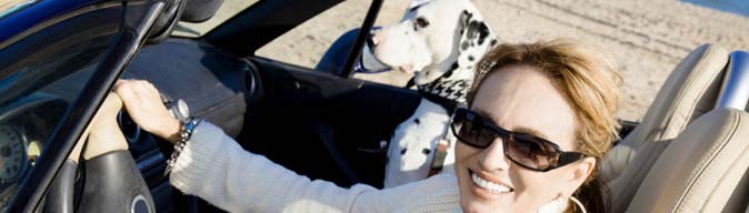 Driving a Dalmatian